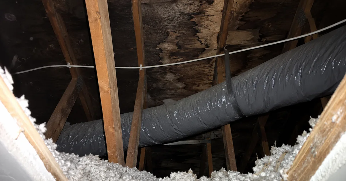 Flash photo looking up through a ceiling scuttle hatch into an attic, showing gray blown insulation, dark stained roof rafters, a gray flexible duct and a white cable strung across the framing