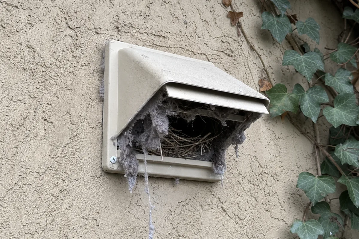 A blocked dryer vent cap on an exterior wall, the louvers packed with lint and the surrounding stucco discolored from moisture