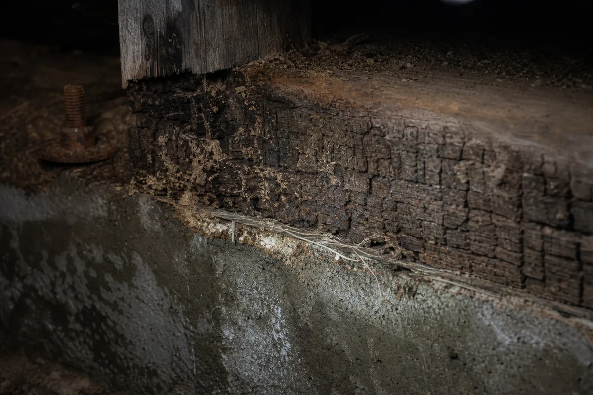 Macro view of a wooden mudsill and joist with advanced fungal decay crumbling into a cubed gray-brown pattern
