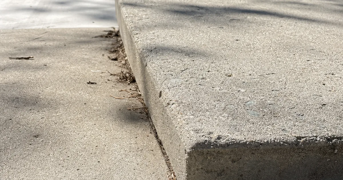 A heaved concrete driveway joint with a two-inch offset where a mature tree root has pushed the slab up in a Lakewood tract