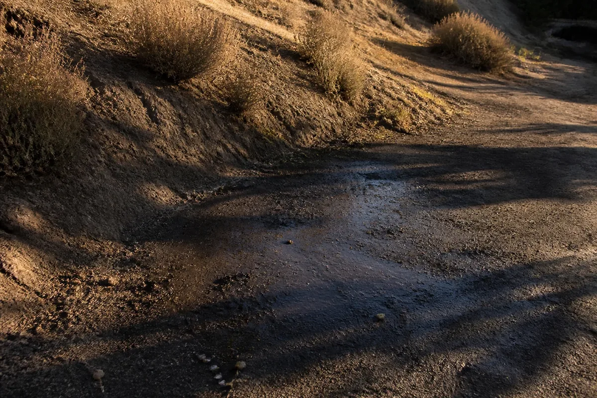 Wet, dark soil at the base of a Lemon Grove hillside slope well after dry weather, low afternoon light