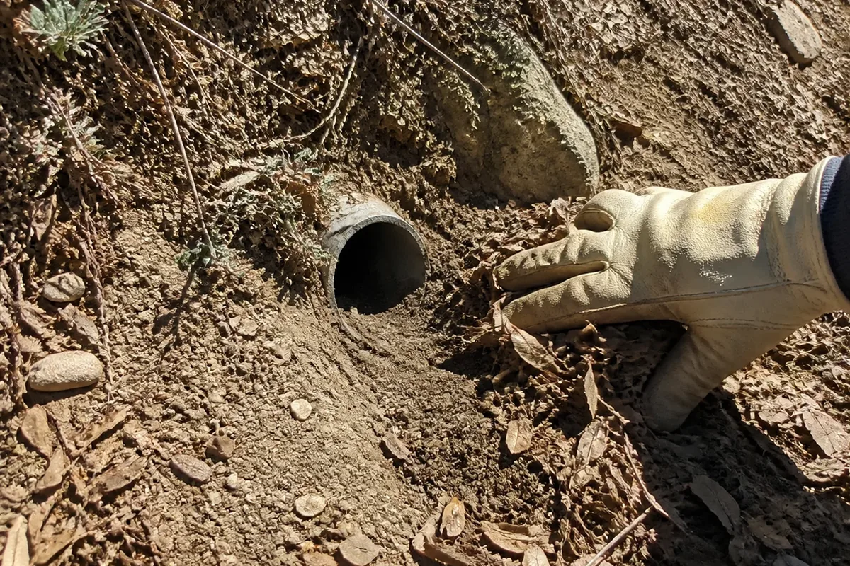 A hand clearing accumulated soil and leaf debris away from a French drain daylight discharge outlet at the base of a slope