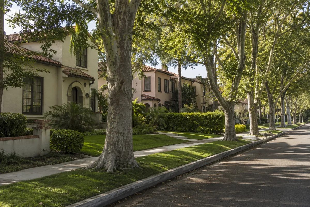 Tree-lined historic Santa Ana street with mature parkway trees over the path where the sewer laterals run to the main