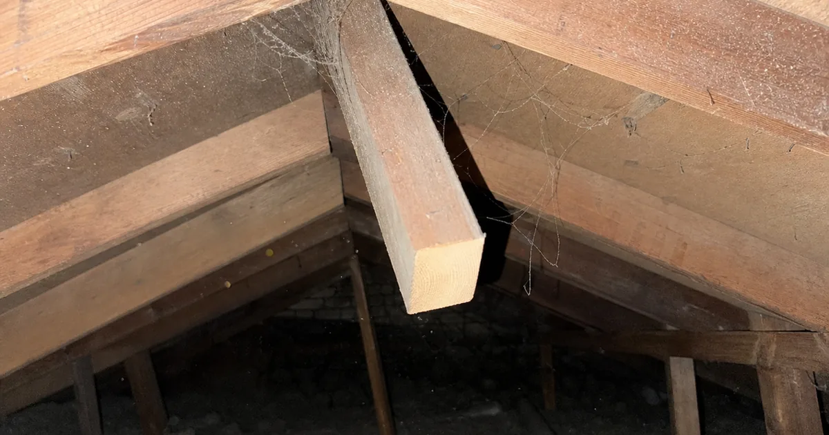 A cut rafter hanging unsupported in a North Hollywood attic where a skylight shaft was framed without reinforcement
