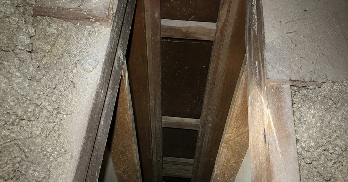 An open stud bay in a Paramount attic access with no fire blocking at the top plate, insulation pulled back to show the unobstructed cavity running down into the wall