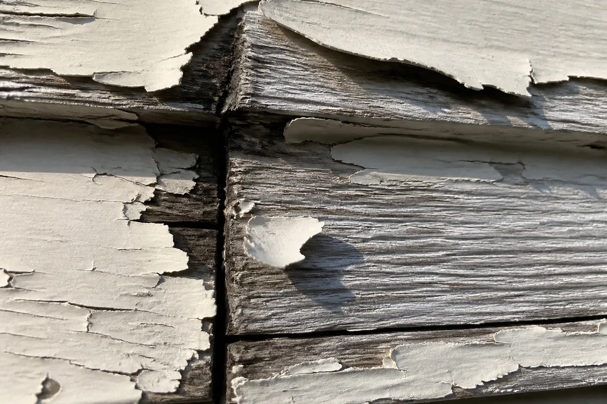 Blistered and peeling paint on horizontal wood siding with bare gray weathered wood showing through at a butt joint