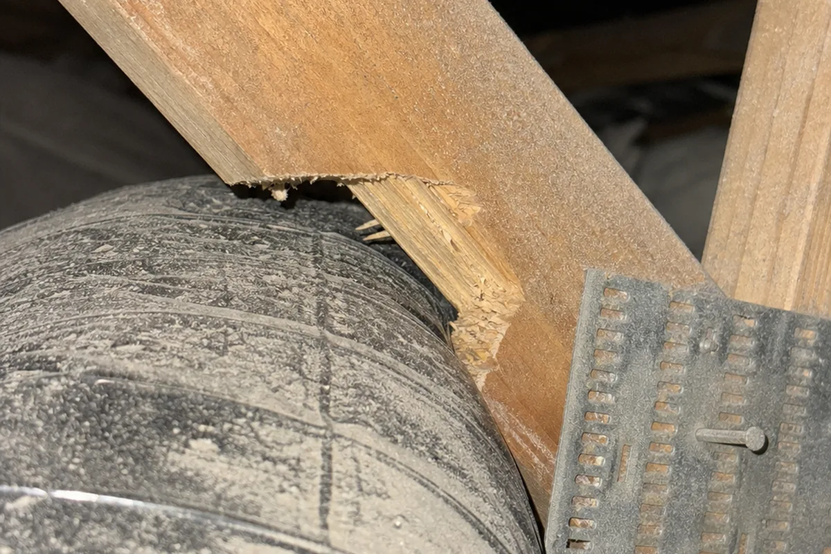 Tight macro of a truss web member notched to half its depth where it crosses a duct run, the cut fibers visible in the wood