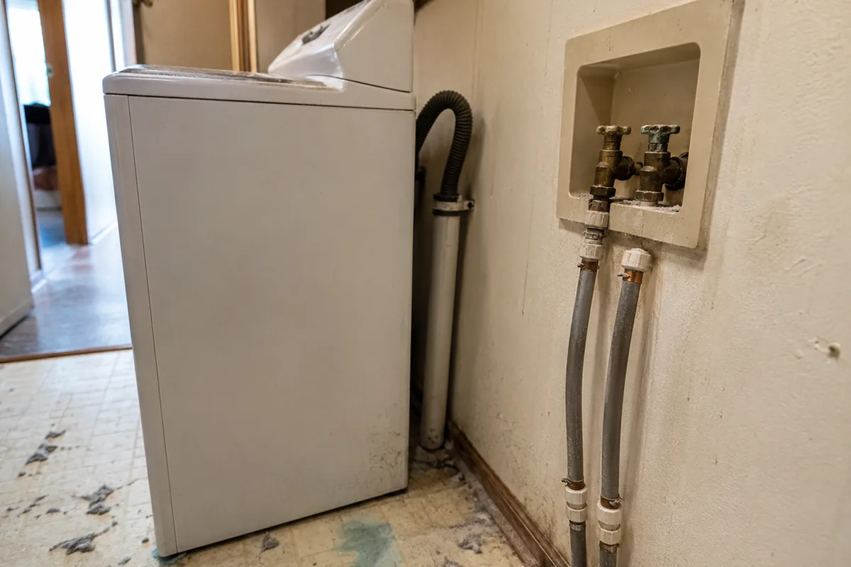 Polybutylene supply lines feeding a washer valve box behind a pulled-out washing machine in a Vista laundry alcove