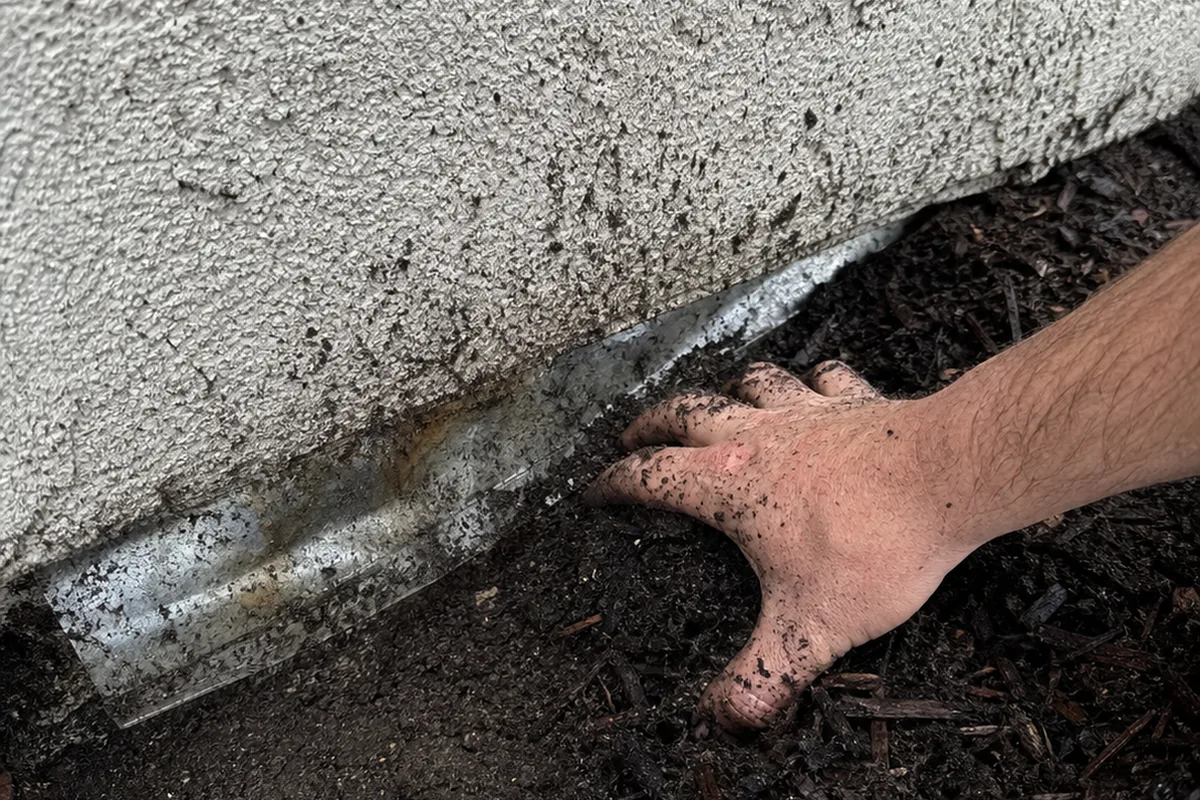 Hand scraping soil and bark mulch away from a stucco wall to reveal a bent metal weep screed that had been buried