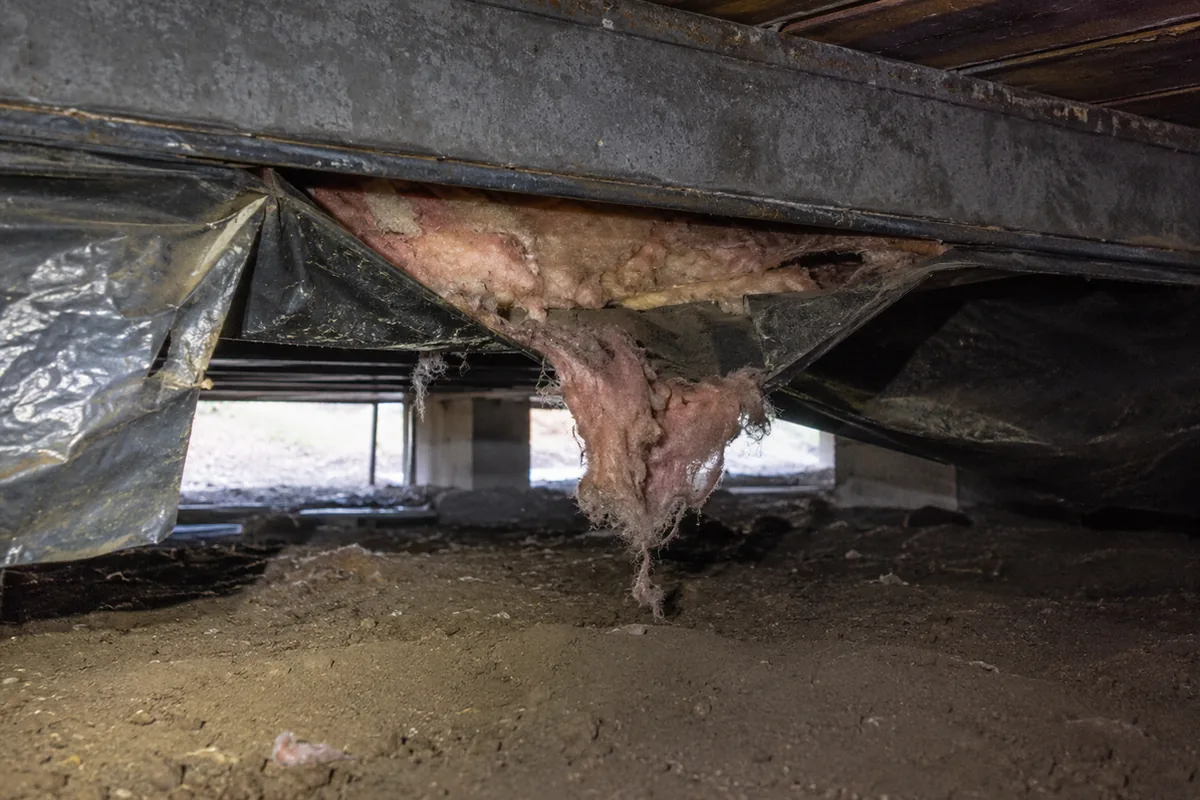Torn underbelly vapor barrier sagging beneath a manufactured home with fiberglass floor insulation drooping out of the gap
