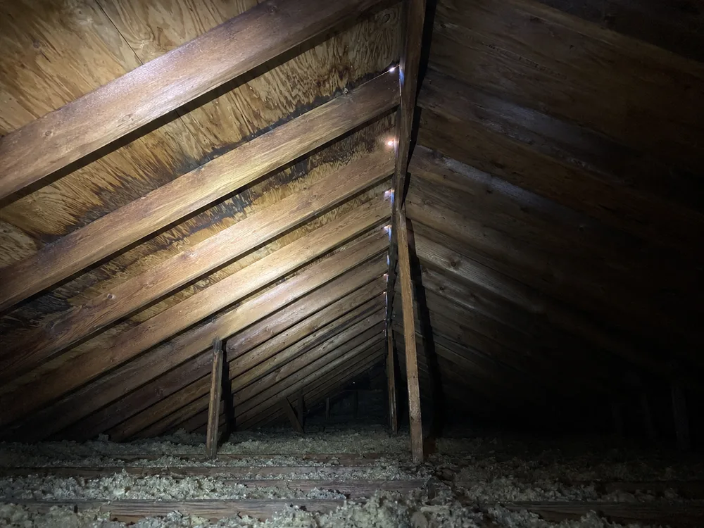 Attic underside of a Riverside home showing water staining and pinpoints of daylight at the ridge below a tile roof plane