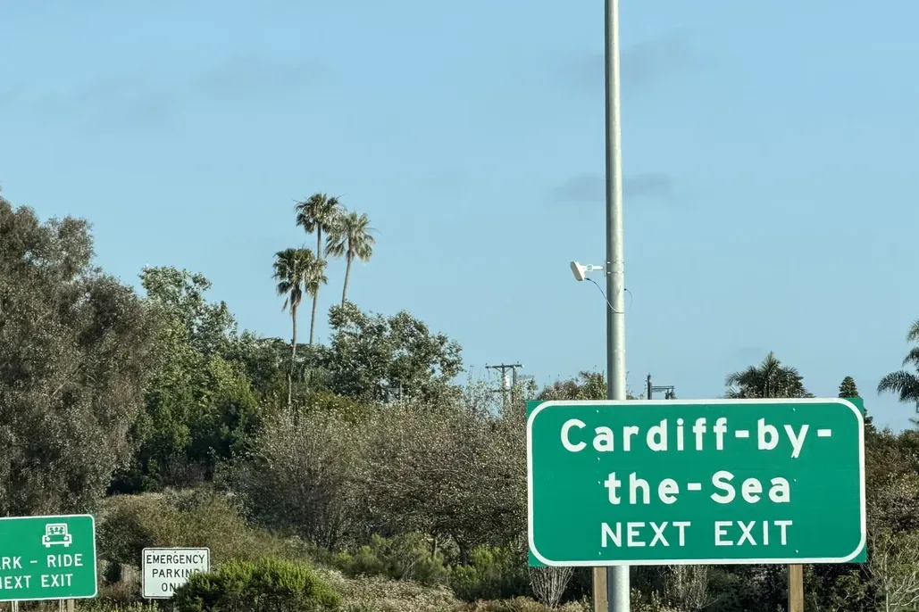Green Cardiff-by-the-Sea next exit sign beside a freeway ramp with palm trees and shrubs behind it